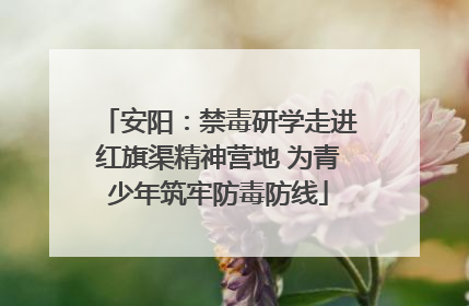 安阳：禁毒研学走进红旗渠精神营地 为青少年筑牢防毒防线
