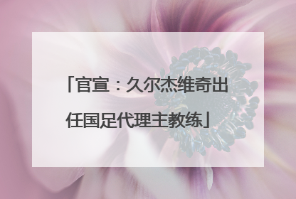 官宣：久尔杰维奇出任国足代理主教练