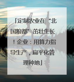 定制农业在“北国粮都”茁壮生长！企业：用算力指导生产，扁平化管理种地