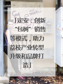 定安：创新“包树”销售等模式，助力荔枝产业转型升级和品牌打造