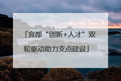 宜都“创新+人才”双轮驱动助力支点建设