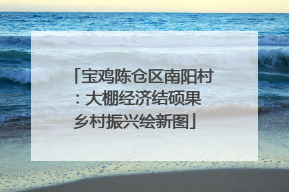 宝鸡陈仓区南阳村：大棚经济结硕果 乡村振兴绘新图