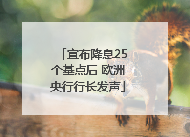 宣布降息25个基点后 欧洲央行行长发声