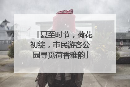 夏至时节，荷花初绽，市民游客公园寻觅荷香雅韵