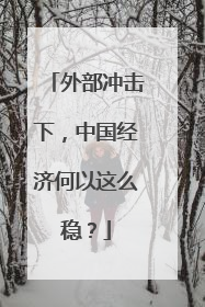 外部冲击下，中国经济何以这么稳？
