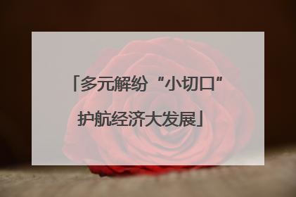 多元解纷“小切口” 护航经济大发展