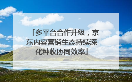 多平台合作升级，京东内容营销生态持续深化种收协同效率