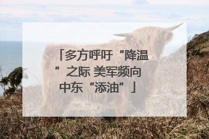 多方呼吁“降温”之际 美军频向中东“添油”