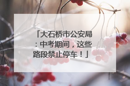 大石桥市公安局：中考期间，这些路段禁止停车！