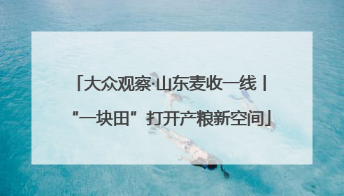 大众观察·山东麦收一线丨“一块田”打开产粮新空间