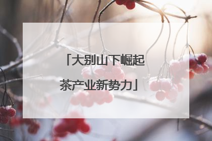 大别山下崛起茶产业新势力