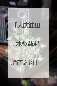 大庆油田：水驱载起增产之舟