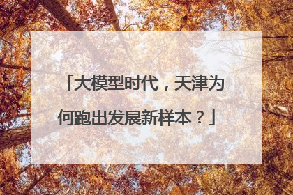 大模型时代，天津为何跑出发展新样本？