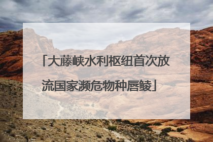大藤峡水利枢纽首次放流国家濒危物种唇鲮