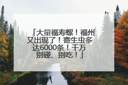 大量福寿螺！福州又出现了！寄生虫多达6000条！千万别碰、别吃！