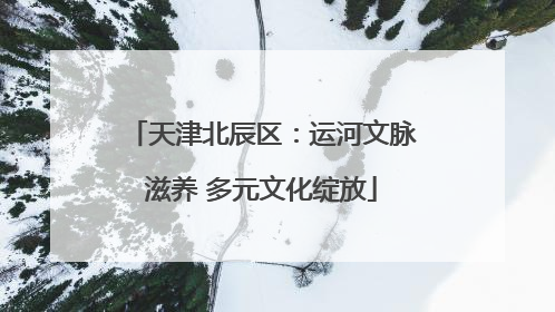 天津北辰区：运河文脉滋养 多元文化绽放