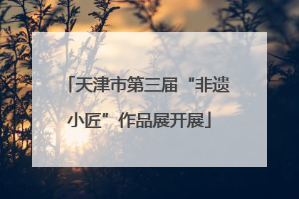 天津市第三届“非遗小匠”作品展开展