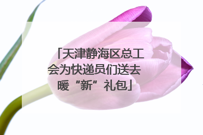 天津静海区总工会为快递员们送去暖“新”礼包