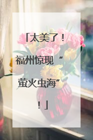太美了！福州惊现“萤火虫海”！