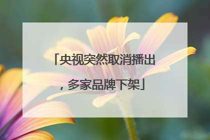 央视突然取消播出，多家品牌下架