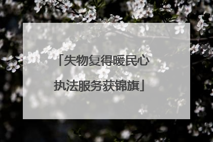 失物复得暖民心 执法服务获锦旗