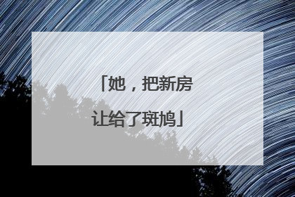 她，把新房让给了斑鸠