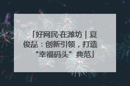 好网民·在潍坊｜夏俊磊：创新引领，打造“幸福码头”典范