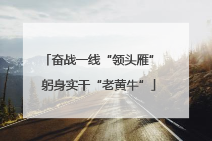 奋战一线“领头雁” 躬身实干“老黄牛”