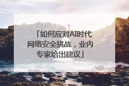 如何应对AI时代网络安全挑战，业内专家给出建议