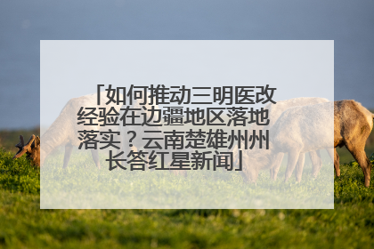 如何推动三明医改经验在边疆地区落地落实？云南楚雄州州长答红星新闻
