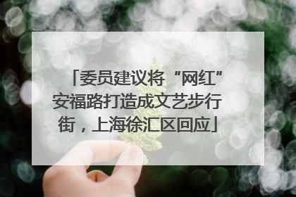 委员建议将“网红”安福路打造成文艺步行街，上海徐汇区回应