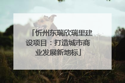 忻州东瑞欣瑞里建设项目：打造城市商业发展新地标