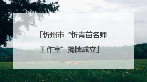 忻州市“忻青苗名师工作室”揭牌成立