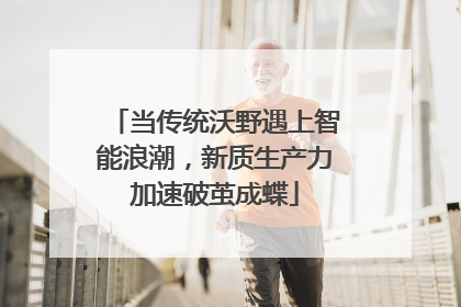 当传统沃野遇上智能浪潮，新质生产力加速破茧成蝶