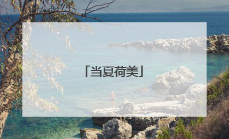 当夏荷美