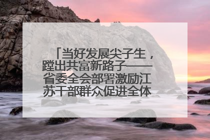 当好发展尖子生，蹚出共富新路子——省委全会部署激励江苏干部群众促进全体人民共同富裕