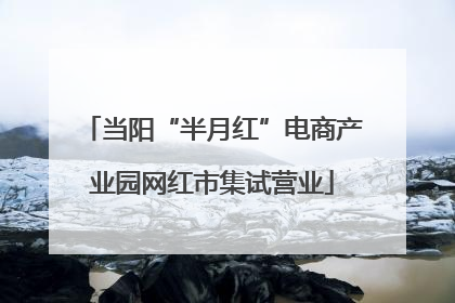 当阳“半月红”电商产业园网红市集试营业