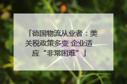 德国物流从业者：美关税政策多变 企业适应“非常困难”