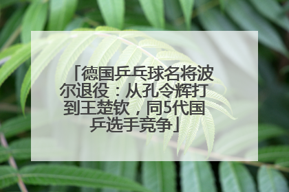 德国乒乓球名将波尔退役：从孔令辉打到王楚钦，同5代国乒选手竞争