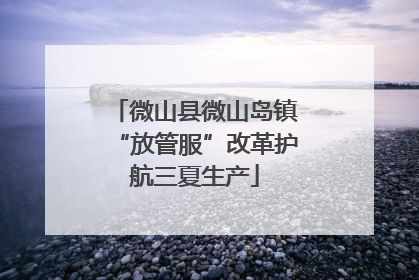 微山县微山岛镇“放管服”改革护航三夏生产
