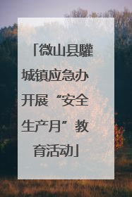 微山县驩城镇应急办开展“安全生产月”教育活动