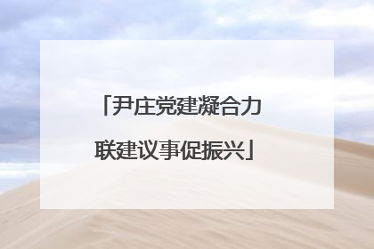 尹庄党建凝合力 联建议事促振兴