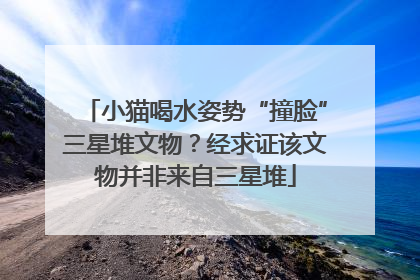 小猫喝水姿势“撞脸”三星堆文物？经求证该文物并非来自三星堆
