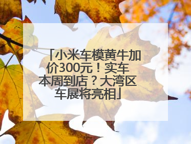 小米车模黄牛加价300元！实车本周到店？大湾区车展将亮相