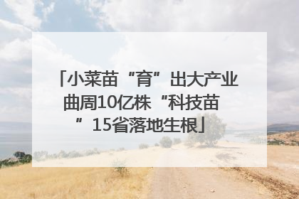 小菜苗“育”出大产业 曲周10亿株“科技苗”15省落地生根