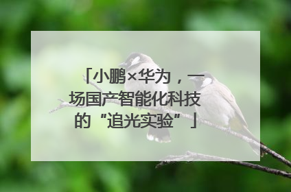 小鹏×华为，一场国产智能化科技的“追光实验”