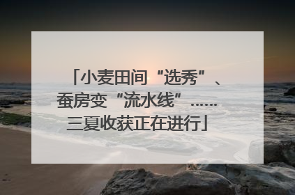 小麦田间“选秀”、蚕房变“流水线”……三夏收获正在进行