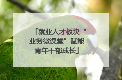就业人才板块“业务微课堂”赋能青年干部成长