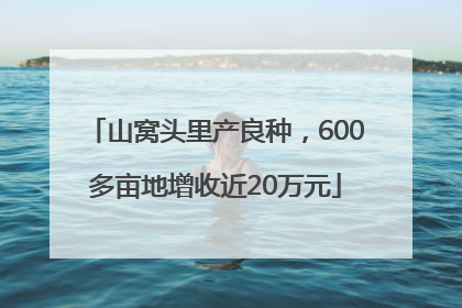 山窝头里产良种，600多亩地增收近20万元