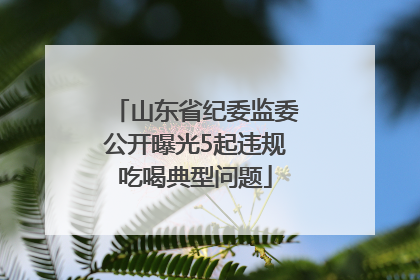 山东省纪委监委公开曝光5起违规吃喝典型问题